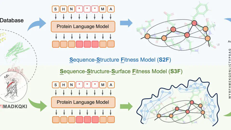 Multi-Scale Representation Learning for Protein Fitness Prediction